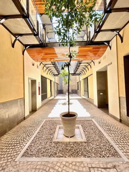 Hispalis Patio Del Rinconcillo Sewilla Zewnętrze zdjęcie